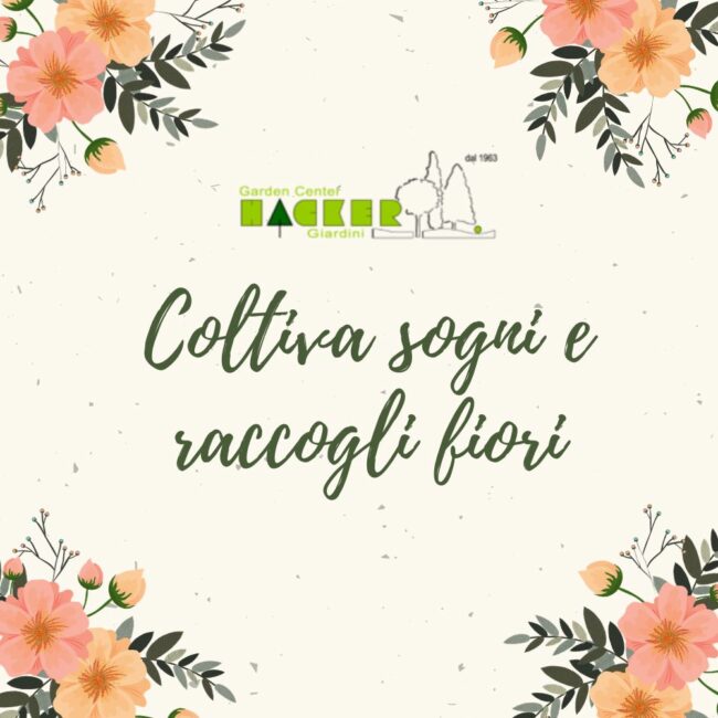 piante-e-fiori-post-social